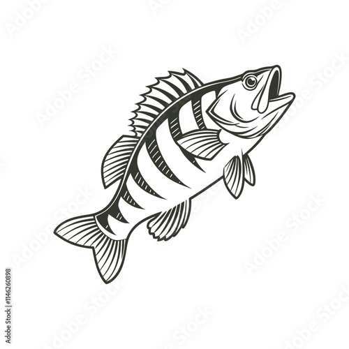 American Yellow Perch Fish Vector Art and Illustration