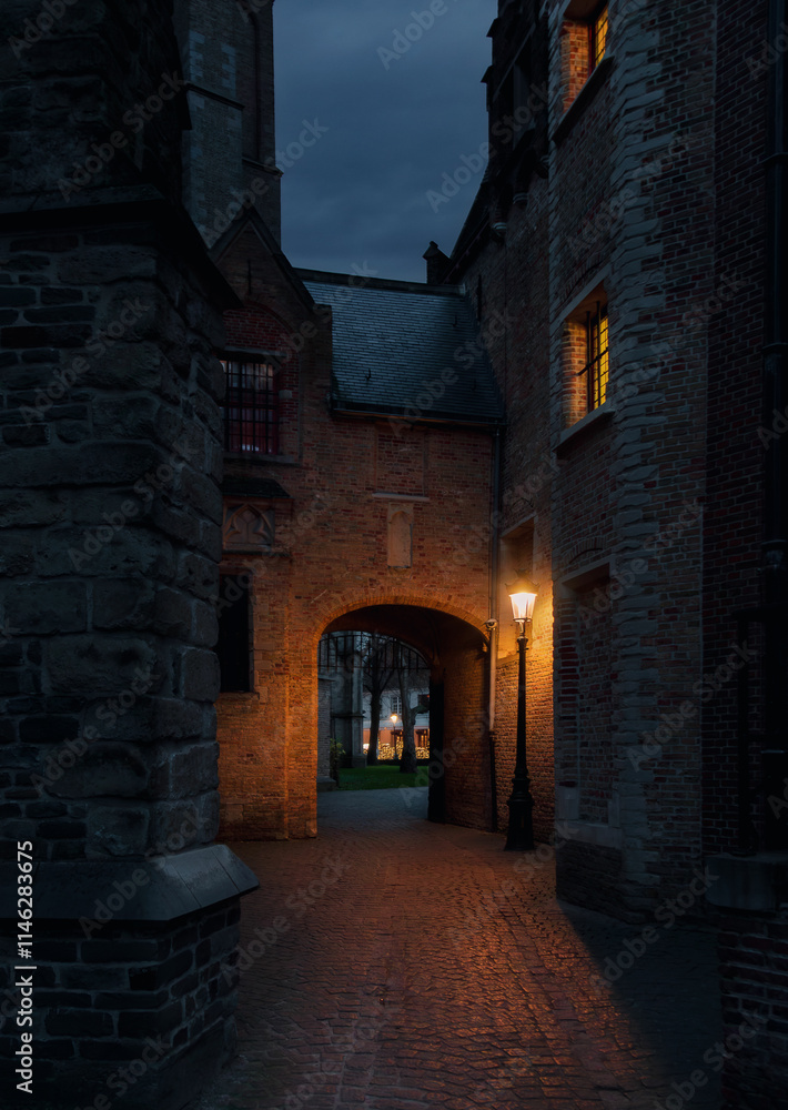 Fototapeta premium Dark alley in Bruges
