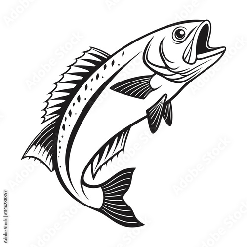 Atlantic Croaker Fish Vector Art and Illustration