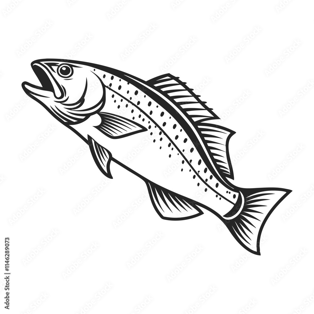 Obraz premium Atlantic Croaker Fish Vector Art and Illustration
