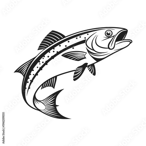 Atlantic Croaker Fish Vector Art and Illustration