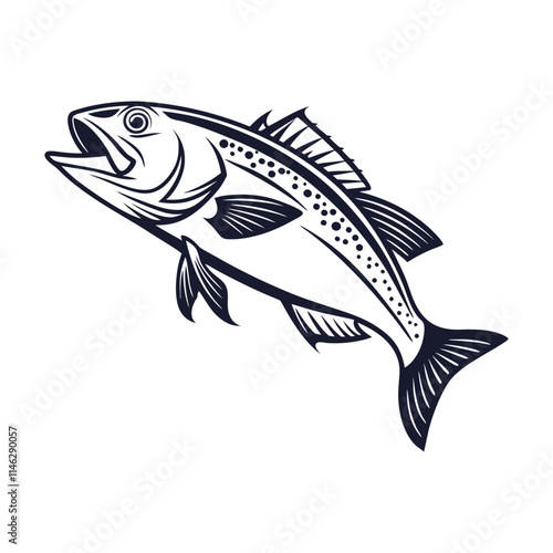 Atlantic Croaker Fish Vector Art and Illustration