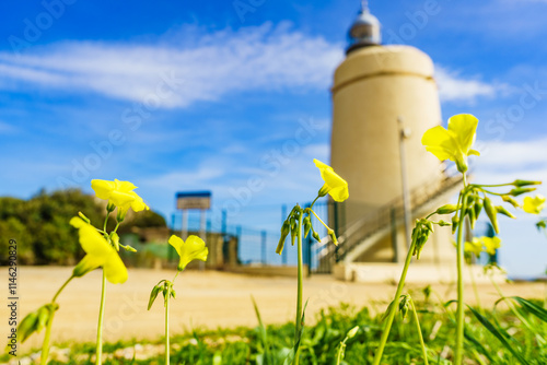 Carbonera lighthouse, Punta Mala, La Alcaidesa, Spain. photo