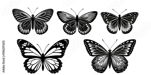 A vector silhouette image of a butterfly icon with a white background