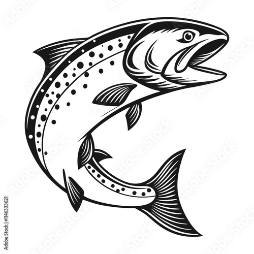 Atlantic Salmon Fish Vector Art  Illustration