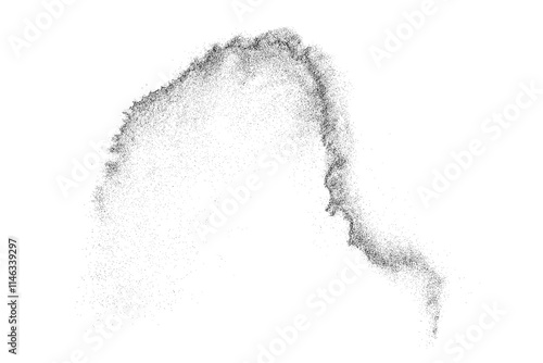 Obraz na płótnie Black grainy texture. Abstract dust overlay. Grain noise. Black explosion on transparent background. Splash water effect. PNG format. w salonie