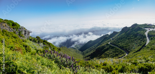 Panorama from the path of the vereda do Pico Ruivo in Madeira. The pride of madeira in foreground photo