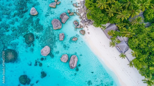 The serene landscape of Zanzibar features crystal-clear turquoise waters caressing flawless white sand beaches, with swaying palm trees and historic stone buildings adding to the charm.