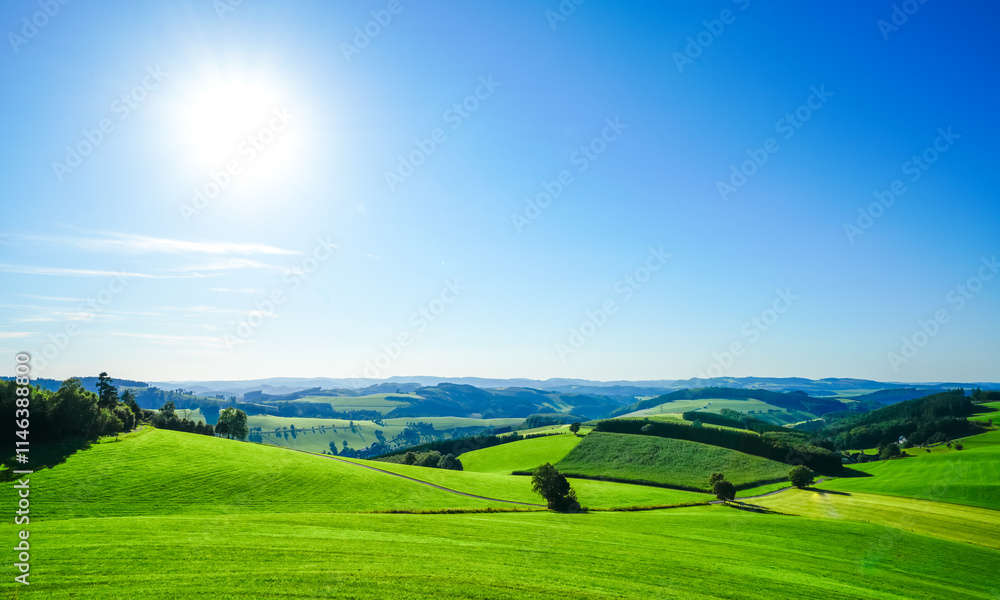 Fototapeta premium View of the green landscape near Oberhenneborn in the Sauerland. Hiking trails in nature. 