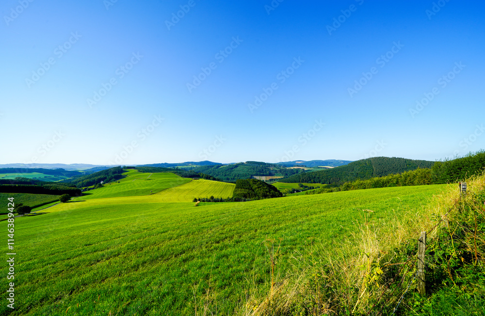 Obraz premium View of the green landscape near Oberhenneborn in the Sauerland. Hiking trails in nature. 