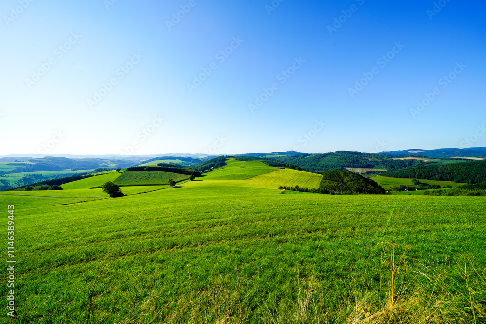 View of the green landscape near Oberhenneborn in the Sauerland. Hiking trails in nature.
View of the green landscape near Oberhenneborn in the Sauerland. Hiking trails in nature.