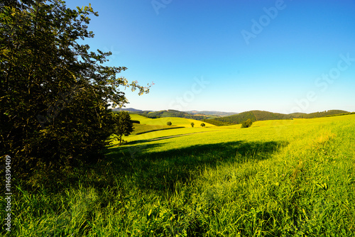 View of the green landscape near Oberhenneborn in the Sauerland. Hiking trails in nature.
 photo