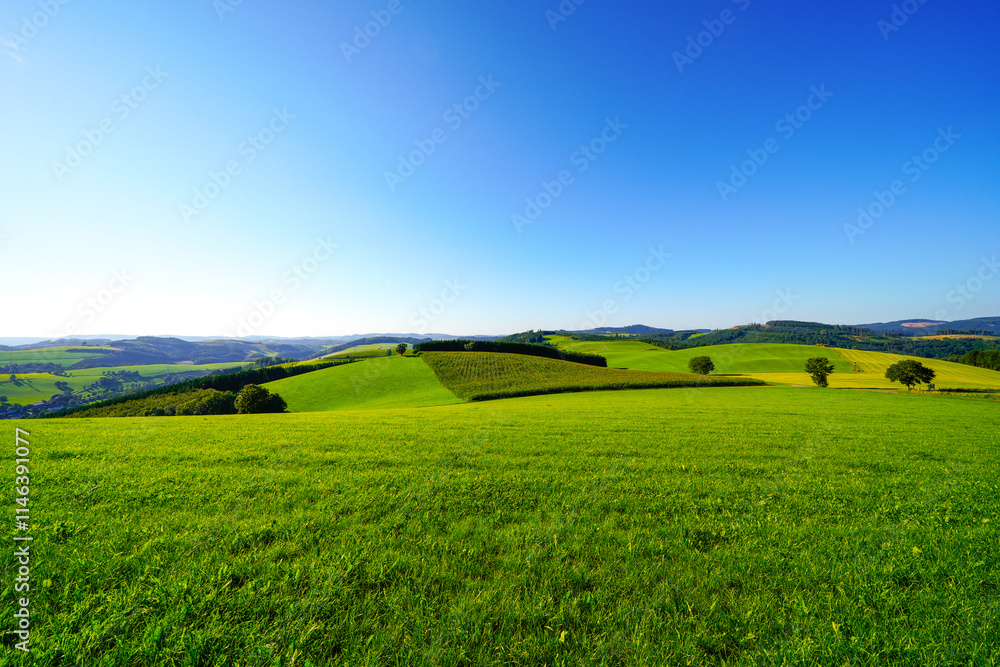 Fototapeta premium View of the green landscape near Oberhenneborn in the Sauerland. Hiking trails in nature.