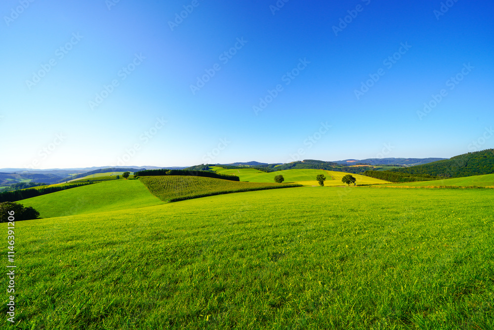 View of the green landscape near Oberhenneborn in the Sauerland. Hiking trails in nature.
View of the green landscape near Oberhenneborn in the Sauerland. Hiking trails in nature.