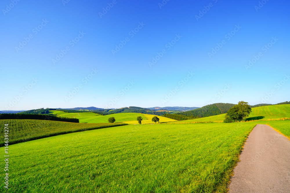 View of the green landscape near Oberhenneborn in the Sauerland. View of the green landscape near Oberhenneborn in the Sauerland.