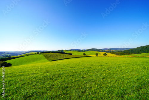 View of the green landscape near Oberhenneborn in the Sauerland. Hiking trails in nature.
 photo