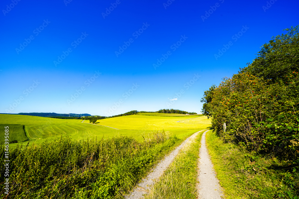 Obraz premium View of the green landscape near Oberhenneborn in the Sauerland. Hiking trails in nature. 