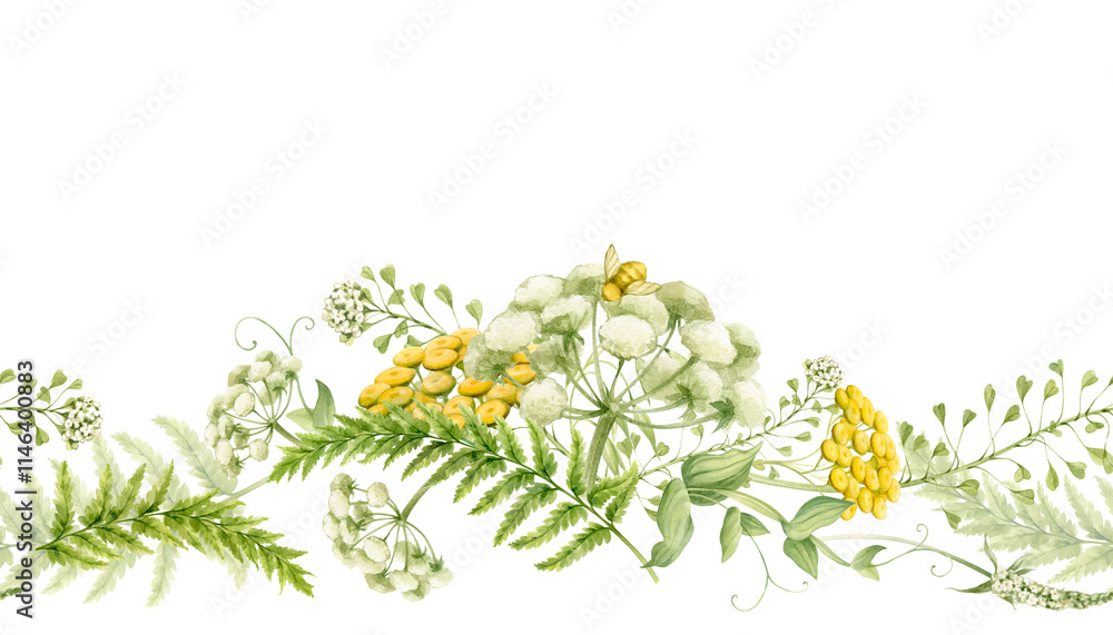 Fototapeta premium Seamless border with wild flowers and herbs. Watercolor illustration hand drawn and isolated