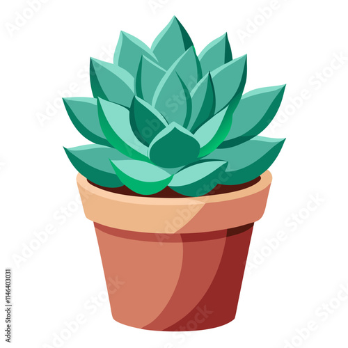 Potted echeveria plant with vibrant green leaves on a clean white background illustrating indoor gardening potential