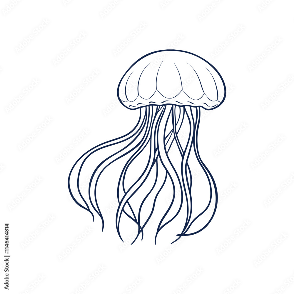Jelly Fish Outline Art work Jelly Fish Outline Art work