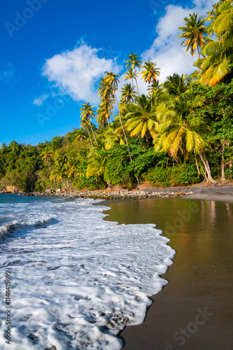 Anse Couleuvre is a secluded, idyllic beach with black sand on the dream isla...