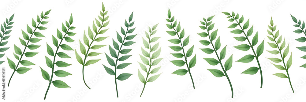 A fern leaf pattern is created on a white background in this tropical botanical illustration of natural elements and design concepts._00001_ A fern leaf pattern is created on a white background in this tropical botanical illustration of natural elements and design concepts._00001_