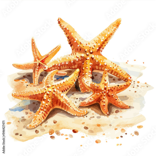 A watercolor vector of a group of starfish on a sandy beach, isolated on a white background. Starfish sandy beach vector.
