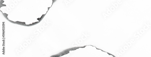 Blank creased crumpled paper texture background, torn paper isolated on white background