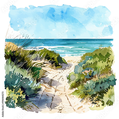 A watercolor painting of a sandy pathway leading to the beach, isolated on a white background. Sandy pathway beach vector.
