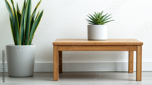 Modern Wooden Coffee Table with Minimalist Plants