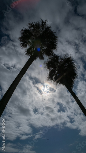 silhouette of the sky