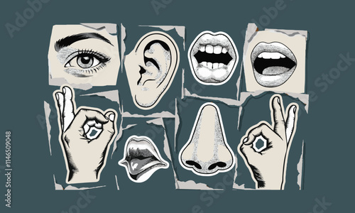Body parts collage elements eye-hand nose ear smiling mouth and lips showing ok sign, easily editable