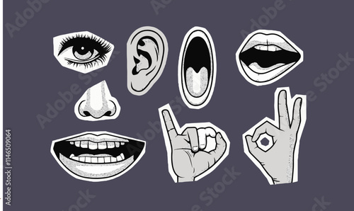 Body parts collage elements eye-hand nose ear smiling mouth and lips showing ok sign, easily editable