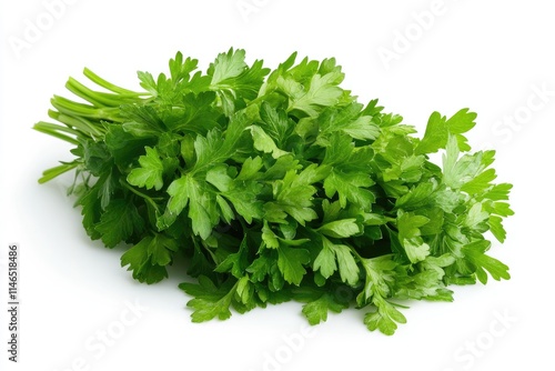 A bunch of fresh parsley leaves with vibrant green color, isolated on white