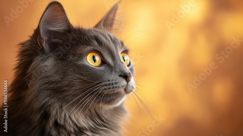 The Majestic Gray Cat photo