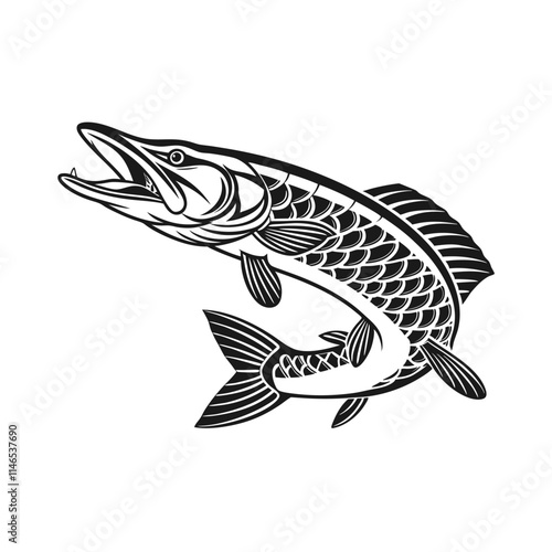 Chain Pickerel Fish Vector Art and Illustration