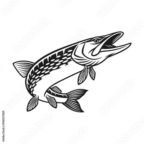 Chain Pickerel Fish Vector Art and Illustration