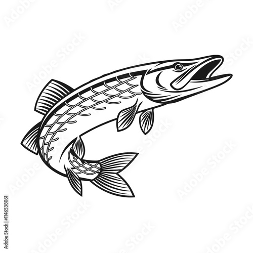 Chain Pickerel Fish Vector Art and Illustration