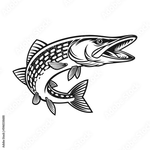 Chain Pickerel Fish Vector Art and Illustration
