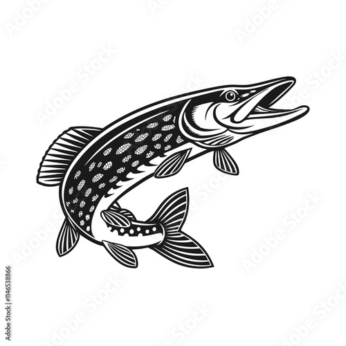 Chain Pickerel Fish Vector Art and Illustration