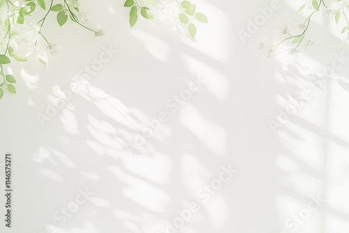 シンプルな白い壁と葉っぱ