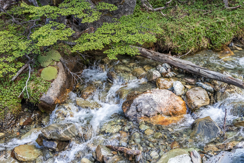 Rocky stream in the foothills of Tierra Del Fuego, just outside Ushuaia, Argentina. Crystal clear water running over boulders, green vegetation on the bank.
 photo