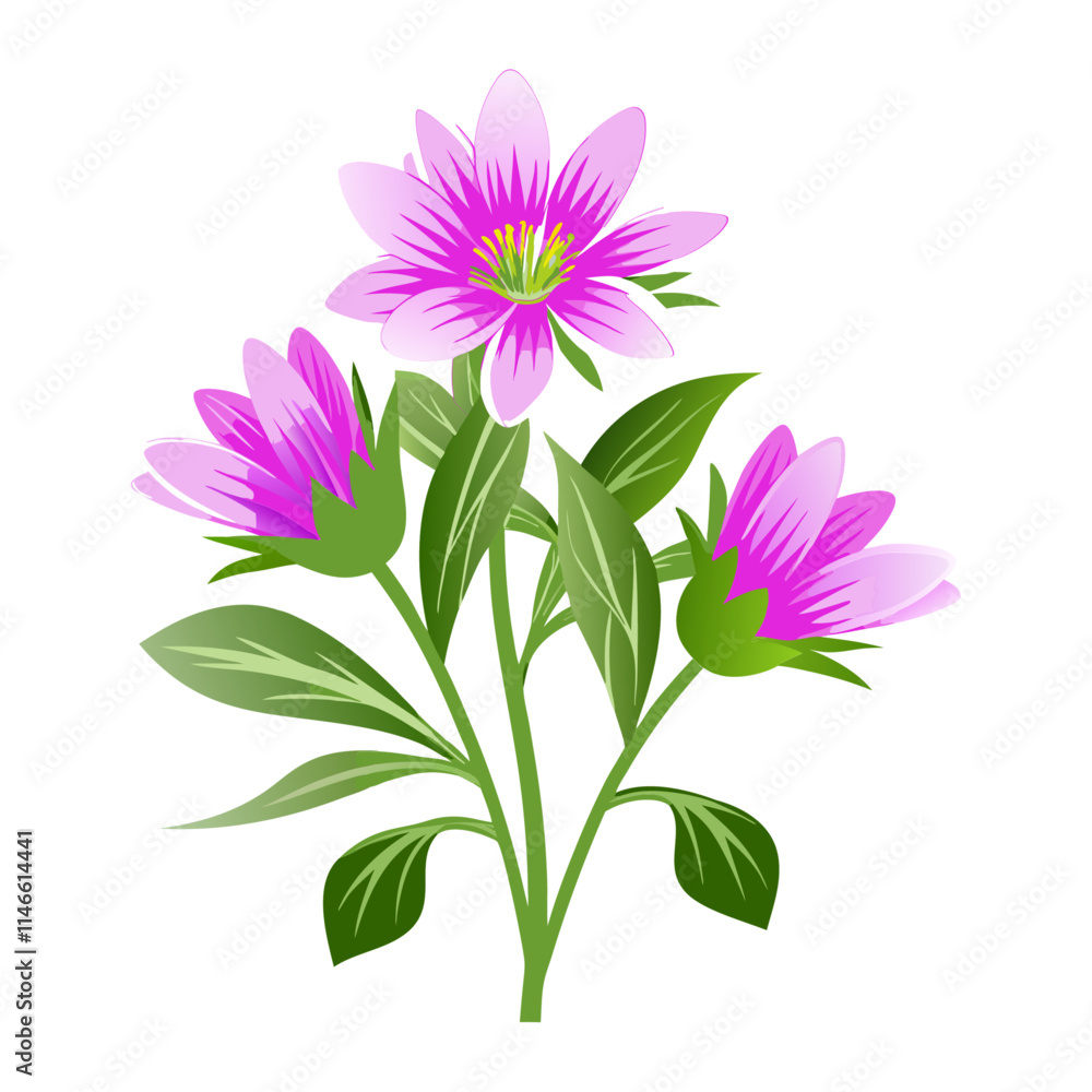 Obraz premium pink and white dahlia