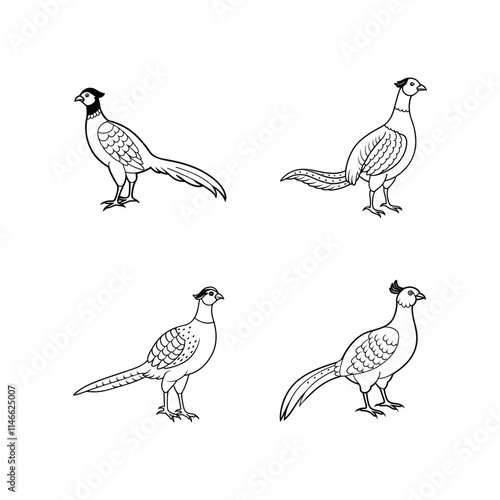 A Pheasant standing Silhouette Illustration
