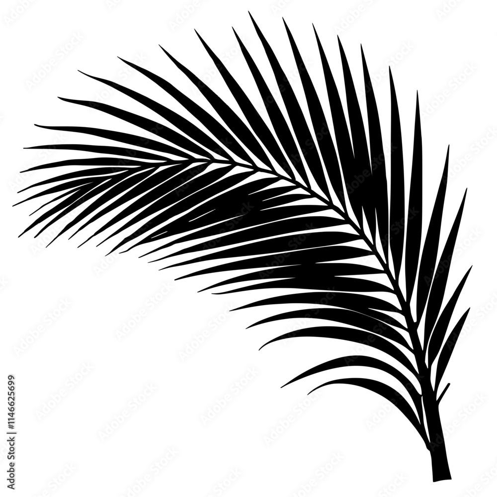 Fototapeta premium Black Palm Branch Hieroglyph Silhouette