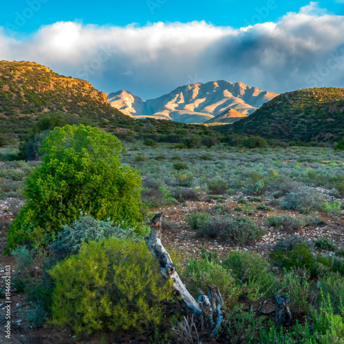 Late afternoon showers over the Kammanassie Mountains near Banderas, Western Cape. photo