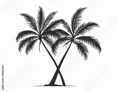 Isolated Coconut Tree with Slender Trunk and Feathery Fronds