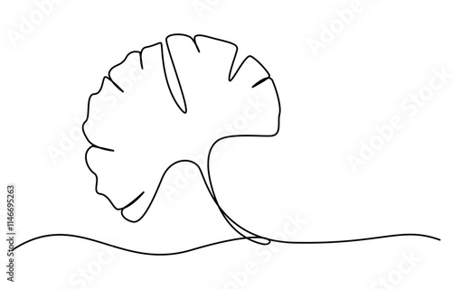 Ginkgo biloba Continuous one line drawing. Abstract botany minimalist poster, Ginkgo flower continuous single line drawing vector illustration,Ginkgo Leaf Continuous Line Drawing 