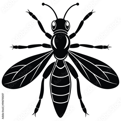 Mud Dauber insect flat vector illustration on white background