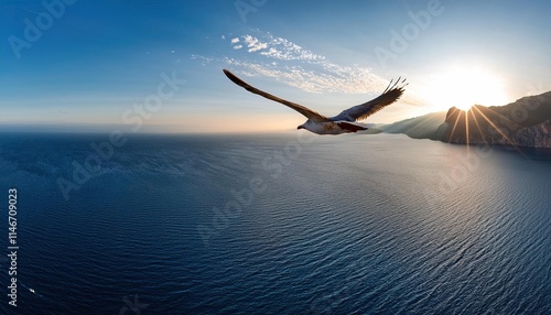 Seagull flying over the sea